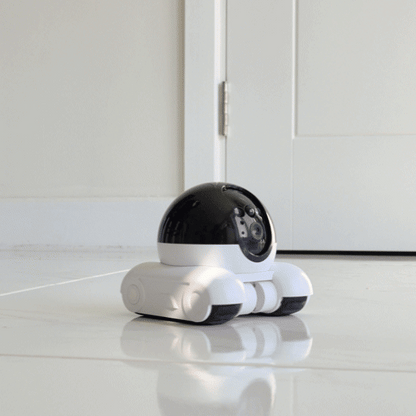 RomiPal PRO WiFi pet monitoring robot driving around home and playing with cat